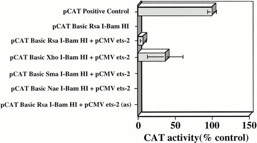 Fig. 5. Densitometric quantitation of CAT activity in TK-ts13 cells cotransfected with pCMV-Ets-2 and pCAT B constructs containing various portions of the c-kit5′ flanking region. pCAT B RsaI-BamHI + pCMV ets-2 in antisense (as) orientation was employed as an additional control. Transfection reactions were normalized by use of PAP assays, as detailed in Materials and Methods. Mean ±SD of five different experiments, each performed in duplicate, are shown. CAT activity was normalized to the CAT control transfected cells that were arbitrarily set at 100%.