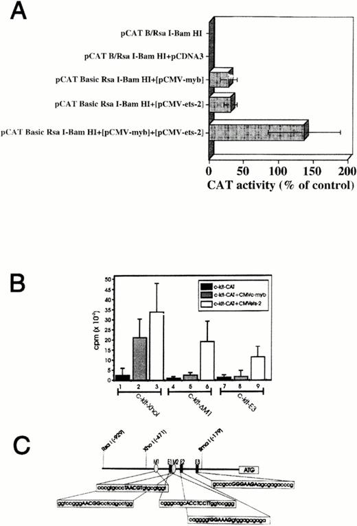 Fig. 6. Myb and Ets-2 transactivate c-kitpromoter in a cooperative manner. (A) CAT activity in TK-ts13 fibroblasts cotransfected with Myb(pCMV-myb), Ets-2 (pCMV-ets-2), orMyb+Ets expression vectors, plus a pCAT B-RsaI/BamHI fragment construct. Transfection of all three vectors into the TK-ts13 cells led to CAT activity ∼threefold greater than that observed with the Myb or Etsexpression constructs alone, and ∼140% that of the pCAT positive control (not shown). (B) Ability of Myb and Ets protein to transactivate wild-type, or mutated forms of theXhoI-BamHI Kit promoter fragment in TK-ts13 cells. In the absence of Myb or Ets, the construct was without CAT activity (lane 1). Cotransfection of Myb orEts-2 expression constructs along with the pCAT BXhoI-BamHI promoter construct significantly increased CAT activity (lanes 2 to 3). Deletion of a single Myb binding site (c-kit-D M1) resulted in loss of Myb's (lane 5), but not Ets's (lane 6) ability to augment CAT activity. Deletion of both Myb sites and two of three Ets sites diminished, but did not entirely abolish the ability of Ets to transactivate the promoter construct (lane 9). Neither c-kit-D M1, nor c-kit-E3 alone elicited CAT activity in the TK-ts13 cells (lanes 4 and 7, respectively). See text for complete details. (Panel C) Schematic representation of Myb andEts-2–binding sites within the XhoI c-kitpromoter region (-481/-24).