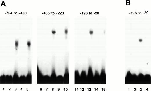 Fig. 8. Purified Myb protein binds in the c-kitpromoter and can be specifically competed. Three different fragments of the c-kit promoter, with nt positions as indicated, were labeled with γ-32 P and then used as probes in EMSA assays performed with bacterial lysates containing, or not containing,Myb protein. (A) Lanes 3, 8, and 13 contain Mybprotein. Lanes 1, 2, 6, 7, 11, and 12 contain no Myb protein. Lanes 4, 9, and 14 contain 100 times excess of cold Myb-binding site competitor (CD34 promoter). Lanes 5, 10, and 15 contain a competitor oligonucleotide with mutated Myb-binding sites. (B) Lanes 1 and 2, no Myb protein in lysate. Lane 3, lysate withMyb protein. Lane 4, lysate with mutated Myb protein (R1 and R2 partially deleted).