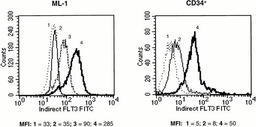 Fig. 1. Fluorescence intensity of human ML-1 cells (left panel) and purified human CD34+ marrow cells (right panel) labeled with MoAb against Flt3 receptor and stained with FITC-conjugated secondary antibody. (1) Unstained cells (dotted line), (2) cells stained with mouse isotype control antibody (thin solid line), (3) cells stained with a single MoAb against Flt3 receptor (MoAb 4A6.6.3; dashed line, shown only for ML-1 cells), (4) cells stained with a combination of three anti-Flt3 receptor MoAbs (MoAbs 4A6.6.3, 1E7.3.2, and 2G3.9.14; thick solid line). The mean fluorescence intensity (MFI) of each histogram is provided below the panels. The results shown are representative of two experiments.