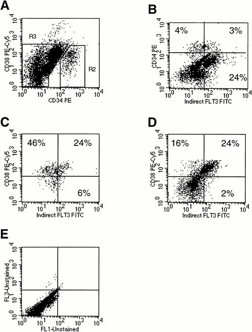 Fig. 2. Analysis of Flt3 receptor expression on human marrow mononuclear cells using three-color flow cytometry. Cells were stained for CD34, CD38, and Flt3 receptor. A scatter gate was first drawn to exclude dead cells (R1, not shown). (A) Expression of CD34 and CD38 on all live marrow mononuclear cells. Two cell populations were defined by gates: (R2) CD34+ and (R3) CD34−. (B) Expression of CD34 and Flt3 receptor on total marrow mononuclear cells. Using the gates set in (A), expression of Flt3 receptor versus CD38 was examined on gated CD34+ cells (C) or CD34−cells (D). Percentages of cells are provided in each plot by quadrant. Quadrants were drawn based on isotype control profiles (E). The results shown are representative of three experiments.