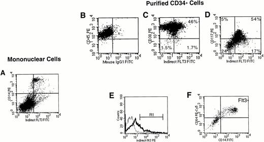 Fig. 3. FACS analysis of Flt3 labeling of unfractionated marrow mononuclear cells and purified CD34+ cells. (A) Expression of Flt3 receptor versus CD14 on unfractionated marrow mononuclear cells. Cells were first gated to exclude dead cells (not shown). Quadrants were drawn as shown in (B). In the results of immunostaining of purified CD34+ cells, expression of Flt3 receptor was correlated with (C) CD38, or (D) CD117 (kit). For (C) and (D), a CD34+ cell gate had been set first (not shown). (E) A blast gate was set (not shown), then a gate was set on the brightest Flt3+ cells (R1). Expression of CD14 and CD64 on CD34+ cells gated on R1 (F). The results shown are representative of two (A) or three (B to F) experiments.