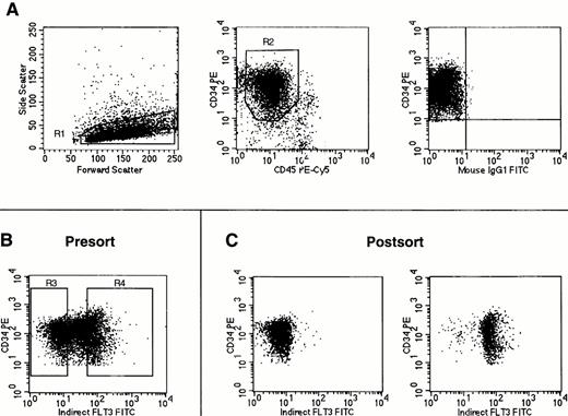 Fig. 4. FACS sorting of Flt3low and Flt3high CD34+ cells. Cells were stained using antibodies against CD34, CD45, and Flt3 receptor. (A) Gates were first set on light scattering (R1) and fluorescence (R2) to acquire only CD34+ cells with low side light scatter and low to moderate forward light scatter properties (“blast gate”) with the isotype control staining for these cells shown in the rightmost panel. (B) With gates R1 and R2 activated, sorting gates were set for acquistion of CD34+ cells negative or dimmest for Flt3 receptor (Flt3low = R3) and CD34+ cells brightest for Flt3 receptor (Flt3high = R4). (C) Reanalysis of CD34+ cells obtained after FACS sorting for Flt3 receptor expression using the gates shown in (B). No gates were activated for this reanalysis. Cells obtained by gating on R3 (Flt3low) are shown in the left plot, and cells obtained by gating on R4 (Flt3high) are shown on the right. The cell staining profiles in each FACS sorting experiment performed were similar to those shown here. Gates R3 and R4 were consistently drawn to each contain 30% of cells within the total population defined by gates R1 and R2.