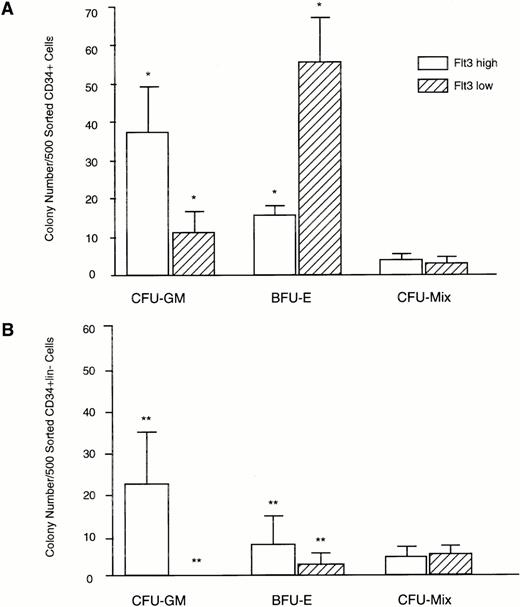 Fig. 5. Clonogenic capacity of CD34+Flt3high versus CD34+Flt3low marrow cell subpopulations. Cells were FACS sorted as shown in Fig 4 and plated at a density of 500 cells per culture dish in methylcellulose. Colonies were scored after 14 days of culture. (A) Colony formation from CD34+Flt3high versus Flt3lowcells. Data represent mean ± SD of triplicate cultures from three individual experiments. (B) Colony formation of CD34+lin−Flt3high versus CD34+lin−Flt3low cells. Data represent mean ± SD of triplicate cultures from one experiment. *P < .001; ** P < .004.