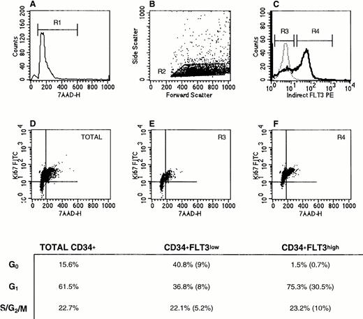 Fig. 6. Cell cycle status of CD34+Flt3high versus CD34+Flt3low cells. (A) Based on 7-AAD labeling, a gate was set to exclude dead cells (R1). (B) Next, a “blast gate” was set (R2). (C) With both R1 and R2 activated, gates were drawn to discriminate Flt3low (R3) from Flt3high (R4) cells. Histograms of Flt3 receptor (bold line) and IgG isotype control (dashed line) staining are shown. The plots in the lower panels show the Ki67 versus 7-AAD staining profiles for (D) total CD34+ cells, (E) CD34+Flt3low, and (F) CD34+Flt3high subpopulations. Cells in the lower left quadrant of each plot are defined as being in G0, cells in the upper left quadrant as G1, and cells in the upper right quadrant as G2, S, or M phases of the cell cycle. For the three surface marker–defined subpopulations, the percentage of cells in each phase of the cell cycle is provided in the table. The numbers in parentheses represent the percentages of cells with the given immunophenotype and cell cycle stage within the total CD34+ cell population. This experiment was performed three times with CD34+ cells and twice with CD34+lin− cells. Staining profiles were similar each time.