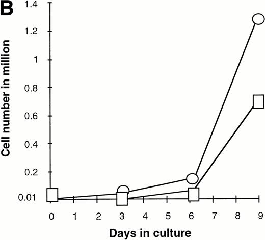 Fig. 7. Effect of various cytokines on the survival and proliferation of FACS sorted CD34+lin−Flt3high versus CD34+lin−Flt3low cells in liquid suspension culture. Ten thousand Flt3high or Flt3low cells were cultured in RPMI containing 10% FBS and the designated cytokines, as described in Materials and Methods. Cells were counted by trypan blue exclusion. (A) and (B) time course of proliferation. Numbers shown are mean values of three independent experiments. The combination of FL plus five growth factors is shown separately in (B), because it would be off-scale in (A). (C) Fold expansion of sorted cells after 9 days in suspension culture in the same three experiments. The bars show cell expansion as the mean number of live cells per input cell. (A) (▤) Flt3 low; (▩) Flt3 low + FL; (□) Flt3 low + FL + KL; (▪) Flt3 low FL + KL + IL-3; (⦵) Flt3 high; (◍) Flt3 high FL; (○) Flt3 high FL + KL; (•) Flt3 high FL + KL + IL-3. (B) (□) Flt3 low; (○) Flt3 high. (C) (▨) FL + KL, IL-3 + GM-CSF + Epo; (▩) FL + KL + IL-3; (▨) FL + KL; (▧) FL; (▪) medium only. Error bars indicate the standard errors.