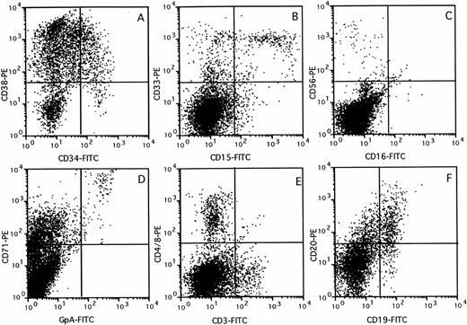 Fig. 3. Immunophenotyping of chimeric mouse BM. BM (>10% CD45+) was stained with a panel of antibodies specific against different human blood cell lineages. FACS profiles of a representative mouse are shown for CD34 versus CD38 (A), CD15 versus CD33 (B), CD16 versus CD56 (C), GpA versus CD71 (D), CD3 versus CD4 and CD8 (E), and CD19 versus CD20 (F) expression, respectively.