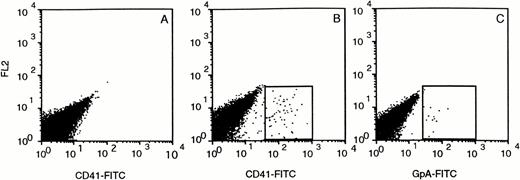 Fig. 5. Circulating CD41+ platelets and GpA+ erythrocytes in the PB of CD34+transplanted SCID mice. Blood was collected in the presence of 2 g/L EDTA and stained immediately with CD41-FITC (B) and GpA-FITC (C). (A) shows the blood of a nontransplanted mouse stained with CD41-FITC.