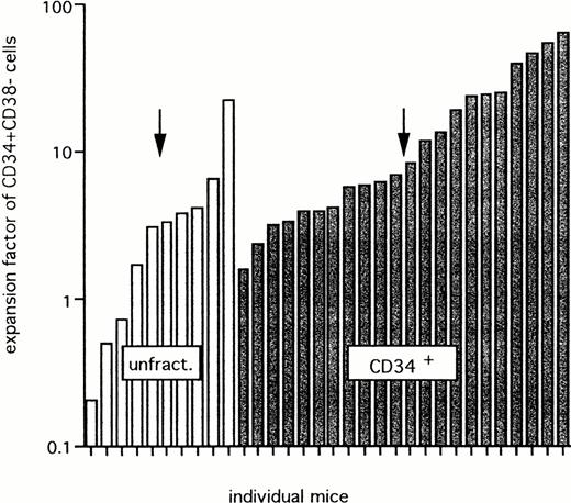 Fig. 8. Expansion of CD34+CD38− cells after transplantation of unfractionated or CD34+ cells. Data for 32 mice that showed detectable CD34+CD38− cells from a group of 69 chimeric mice (>1% CD45+ cells). Twenty-eight mice were transplanted with unfractionated (unfract.) cells and 41 mice were transplanted with CD34+ grafts from 5 different UCB samples. The arrow shows the median expansion factor of CD34+CD38− cells in each group.