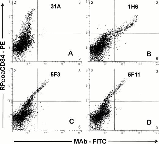 Fig. 1. Two-color staining to screen hybridomas for MoAb to CD34. Ficolle-separated BMMC were stained as described in the Materials and Methods. Cells were first incubated with hybridoma supernatants, washed, and then incubated with RPαCD34. Second-stage goat antirabbit PE and goat antimouse FITC antibodies were added simultaneously. Gates were drawn to exclude debris and to include cells with light scattering properties of lymphocytes and blasts. RPαCD34-PE staining is shown on the Y axis and staining of the MoAb-FITC on the X axis. MoAbs in (B), (C), and (D) give positive staining of the population of cells recognized by RPαCD34 as compared with 31A (control), which does not costain the CD34+ cells.