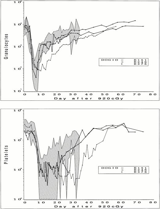 Fig. 5. Peripheral blood granulocyte counts (upper panel) and platelet counts (lower panel) in dogs that received 920 cGy TBI followed by infusion of CD34-selected BM cells. The range of counts from 16 control dogs that received unmodified BM after 920 cGy are indicated by shading.