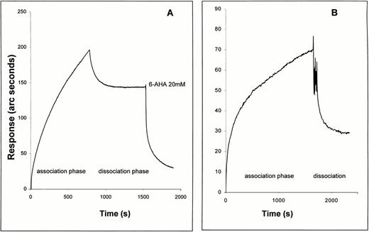 Fig. 3. Comparison of binding of Glu-plasminogen (A) and kringles 1 through 3 (B) to immobilized TF apoprotein as observed with an IAsys optical biosensor. Association and dissociation (wash) buffers were as for the binding of Glu-plasminogen with immobilized soluble TF (Fig 1, first part of Fig 2). Both proteins were injected into the sensor cuvette at 500 nmol/L and the association phase was observed. Dissociation was observed in dissociation buffer after 5 quick (5 seconds) rinses of the sensor cuvette with dissociation buffer. In the case of the plasminogen experiment, 20 mmol/L 6-AHA was added to the rinsed cuvette after buffer-induced dissociation.