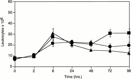 Fig. 1. Total peritoneal leukocytes 0 to 96 hours after peritoneal stimulation with thioglycollate. (-▪-)Plg(+/+), (-•-) Plg(+/−), and (-▴-)Plg(−/−). Unstimulated peritoneum is represented as t = 0. Values represent mean ± SEM. For Plg(+/+),Plg(+/−), and Plg(−/−) mice P = .003 at 72 hours poststimulation determined by one-way ANOVA