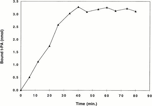 Fig. 1. Binding of t-PA to non-crosslinked fibrin in a single perfusion. Radiolabeled, active-site blocked t-PA was perfused at a constant rate of 15 μL/min through a column of fibrin. The amount of bound t-PA was calculated by measuring radioactivity in aliquots of effluent from the column. Equilibrium was considered to occur when there was no additional binding of t-PA to the fibrin column as indicated by the flat portion of the curve. A single point representing mean equilibrium binding taken from that part of the curve was used for binding isotherms (Fig 3) and Scatchard analysis (Fig 4).