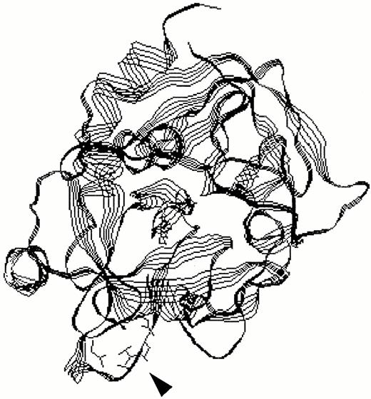 Fig. 3. Structure of thrombin showing location of mutated ionic cluster. Ribbon structure for thrombin is shown as produced by the RasMol modeling program with coordinates obtained from the Brookhaven database. Side chains are shown at the bottom left for residues Arg517(187) marked by the arrow head, Asp552(221), and Asp554(222). In this view the active site serine residue is located at the center, anion binding exosite I extends across the center right, and anion binding exosite II is along the upper left edge.