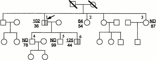 Fig. 5. Pedigree for Prothrombin Greenville. The upper numbers beside the numbered symbols are prothrombin antigen levels as percent and the lower numbers are percent prothrombin activity obtained after activation by Echis carinatus venom with fibrinogen as the substrate. Shading indicates heterozygotes. ND, not determined; ↙, proband; /, deceased. Individuals without assay values were not studied.