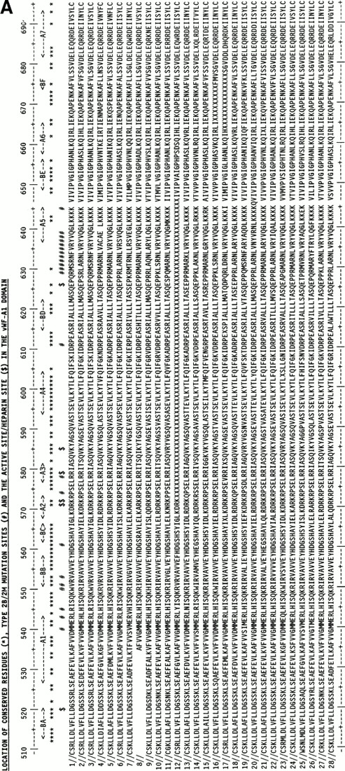 Fig. 2. Alignment of vWF-A1and vWF-A2 sequences from 28 mammalian species. The sequences are identified by accession numbers. The numbering is taken from human vWF, and the location of α-helices and β-strands follows that of Fig 1. Residues that are 100% absolutely or conservatively conserved are indicated by an asterisk. (Conservative: G=A=S, D=E, I=L=V=M; S=T, R=K=H, F=Y=W=H; X is disregarded). (A) The positions of D520 and E626 at the active site and the proposed heparin site RK-RR-K (residues 571-585) are marked by a dollar sign ($). The positions of the type 2B and 2M mutations are marked by a number sign (#). (B) The position of D744 at the active site and the protease cleavage site at Y842-M843 are marked by $. The positions of the type 2A mutations are marked by #. The positions of two conserved putative N-linked glycosylation sites are marked by N.