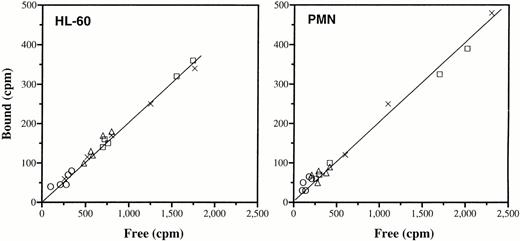 Fig. 4. Effect of IgG on the binding of GM-CSF to GM-CSF-R. Data are expressed as specific 125I-GM-CSF bound to cells versus free cytokine—in the absence of IgG (X), or presence of Gammagard (○), Sandoglobulin (▵), or Nordimmun (□). Five different batches of IgG from each manufacturer were tested in parallel. HL-60 cells were incubated with 3,900 cpm/200 μL and 1.25 mg/mL of IgG, or with decreasing concentrations of the tracer alone. PMN were treated as the HL-60 cells, except that they were coincubated with 4 mg/mL of IgG at 2,900 cpm/200 μL. The background binding was assessed with excess Ab to GM-CSF-R. Data are means of duplicates and representatives of two to five experiments.