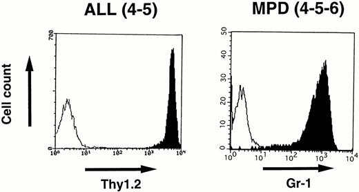 Fig. 7. Surface marker analysis of leukemic cells in 4-5 and 4-5-6 that developed ALL and MPD, respectively. Open histograms are for a negative control and marker staining is indicated by closed histograms. Lymphoblasts in the thymus of 4-5 expressed Thy1.2 at a high intensity (left), whereas proliferating granulocytes in the peripheral blood of 4-5-6 are positive for Gr-1 (right).
