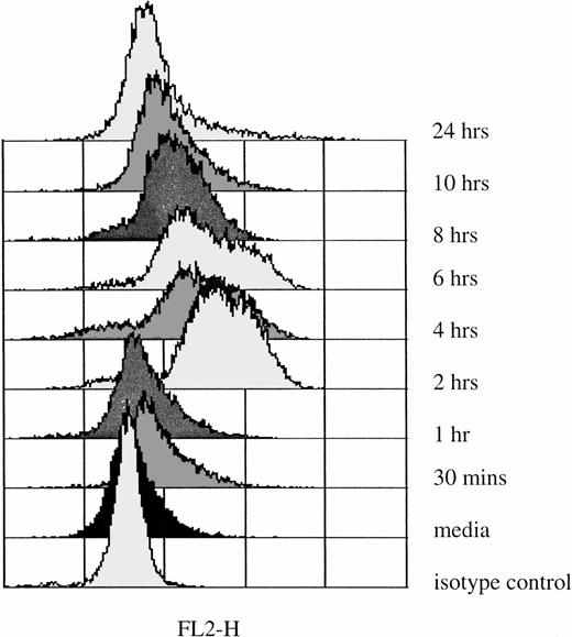 Fig. 5. Intracellular IL-6 protein in PMNs after in vitro rhG-CSF stimulation. Flow cytometric histograms depict staining of freshly isolated PMNs from a normal donor and after incubation with 10 ng/mL rhG-CSF for up to 24 hours. Results presented are from one of four similar experiments. With each time point, simultaneous controls were evaluated and these showed no difference from baseline isotype staining (not shown).