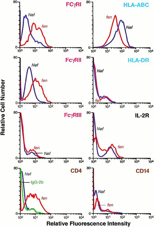 Fig. 3. Cell surface expression of human FcγRI, II, and III; HLA class I and II; CD4; CD14; and IL-2R molecules in U937 cells expressing HIV-1 Nef or HIV-1 fen. U937 cells were transduced with retroviral vector containing nef or fenand selected after treatment with G418. Selected cells expressing Nef and Fen were cultured and analyzed for cell surface molecules as described in Fig 6. Downregulation of FcγRI and II and CD4 and upregulation of HLA class I molecules and no change in HLA class II, CD14, and IL-2R were observed in the Nef-expressing population of U937 cells.