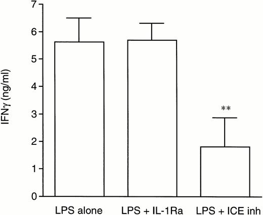 Fig. 1. An ICE inhibitor, but not IL-1Ra, reduces LPS-induced IFNγ production. Splenocytes from WT mice were incubated with LPS alone (1 μg/mL) or with LPS the presence of either IL-1Ra (10 μg/mL) or of an ICE inhibitor (20 μmol/L). IFNγ levels were measured 24 hours later. Data are the mean ± SEM of 6 mice per group. **P < .01 versus LPS alone by ANOVA for repeated measures.