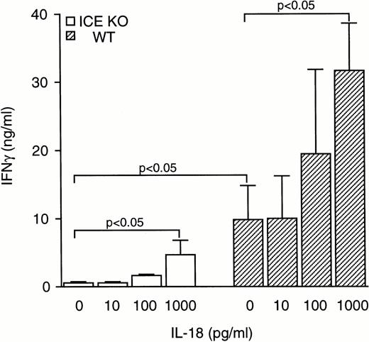 Fig. 5. Effect of IL-18 on IFNγ production. Splenocytes from WT (▨) or ICE-deficient (□) mice were incubated for 24 hours with 10 μg/mL of zymosan in the presence of increasing concentrations of IL-18 and levels of IFNγ were measured. Data are the mean ± SEM of 5 mice per group. The unpaired Student's t-test was used for comparison between WT and ICE-deficient mice, whereas for comparisons within a group, ANOVA for repeated measures was used.