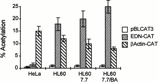 Fig. 2. The EDN promoter/intron combination is active in HL60 cells and their differentiated derivatives. HL60, HL60 7.7, and HeLa cells (10 × 106 per transfection) were transfected with a CAT reporter construct containing the EDN promoter and the first intron (EDN-CAT; 20 μg), the empty vector without EDN sequences (pBLCAT3; 20 μg), or a positive control containing the promoter of the β-actin gene (β actin-CAT; 20 μg) by electroporation (HL60 cells, 280 V, 960 μF) or calcium phosphate precipitation (HeLa cells). Some cells received BA (0.5 mmol/L) 1 hour after transfection (HL60 7.7/BA). Two days posttransfection, cells were harvested and assayed for CAT activity. Bars indicate the mean percentage of acetylation of at least four independent experiments. The standard deviation is indicated by error bars. The EDN reporter construct is clearly active in HL60 cells and their differentiated derivatives, but not in nonhematopoietic HeLa cells.