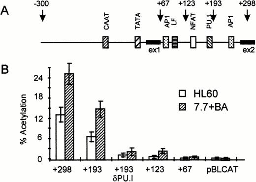 Fig. 3. The PU.I site in the intron is important for the enhancer function of the EDN intron. (A) Schematic representation of the EDN promoter and intron. Putative transcription factor binding sites (CAAT box, AP1 sites, NFAT site, and PU.I site) are indicated as boxes. The arrows indicate the 3′ ends of the reporter constructs used in (B). ex1, exon 1. (B) The EDN reporter constructs described in (A) and the control vector pBLCAT3 were transfected into HL60 or HL60 7.7 cells as described in Fig 2. Construct +193 d PU.I contains point mutations in the PU.I site. The HL60 7.7 cells received BA 1 hour after transfection. CAT activity was determined 48 hours posttransfection. Bars indicate the mean percentage of acetylation of at least four independent experiments. The standard deviation is indicated by error bars. It is clear that the intron is essential for the activity of the EDN reporter construct, whereas the PU.I site seems to play a major role in the activity of the intron.