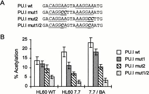 Fig. 4. The PU.I site is essential for the activity of the intronic enhancer. (A) Schematic representation of the mutant reporter constructs. Only the sequence around the tandem PU.I site is shown. The PU.I core binding sites are underlined. Mutations made are indicated in bold type. (B) EDN-CAT constructs containing the full promoter and intron with different mutations in the tandem PU.I site were transfected into HL60 and HL60 7.7 cells and treated with BA as described in Fig 2. Two days posttransfection, cells were harvested and assayed for CAT activity. Bars indicate the mean percentage of acetylation of at least four independent experiments. The standard deviation is indicated by error bars. The double mutant in the tandem PU.I site strongly reduces the activity of the EDN-CAT reporter construct.