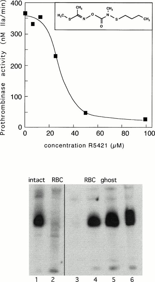 Fig. 3. Upper panel: inhibition of Ca2+-ionomycin–induced prothrombinase activity in control erythrocytes by compound R5421. Cells were incubated with increasing concentrations of R5421 for 10 minutes, followed by ionomycin (5 μmol/L) in the presence of Ca2+ (1 mmol/L) for 60 minutes. Subsequently, samples were analyzed for prothrombinase activity as described in Materials and Methods. Insert: structural formula of compound R5421. Lower panel: tyrosine phosphorylation in control erythrocytes incubated for 15 minutes with Ca2+-ionomycin in the absence (lane 1) and presence (lane 2) of R5421 (0.1 mmol/L). Lanes 3 to 6 represent phosphorylation patterns of white ghosts incubated with four different concentrations of ATP (0.05 mmol/L ATP, lane 3; 0.5 mmol/L ATP, lane 4; 1.0 mmol/L ATP, lane 5; and 2.0 mmol/L ATP, lane 6), all in the presence of R5421 (0.1 mmol/L). Contrary to the incubations with intact cells, the experiments with ghosts were performed in the absence of Ca2+ to ensure sufficient levels of phosphorylation (see text).