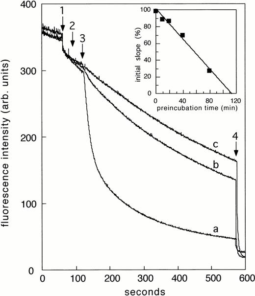 Fig. 5. Effect of R5421 on Ca2+-dependent scrambling of NBD-PS in human platelets stimulated with Ca2+-ionomycin. Platelets were preincubated with 50 μmol/L R5421 for 60 minutes. At arrow 1, dithionite (5 mmol/L) was added; at arrow 2, ionomycin (1 μmol/L); at arrow 3, CaCl2 (1 mmol/L); and at arrow 4, Triton X100 (1%). Curve a: control platelets in the absence of R5421, curve b in the presence of R5421. Curve c represents Scott platelets stimulated with Ca2+-ionophore. Insert: effect of preincubation time with R5421 (20 μmol/L) on rate of scrambling.