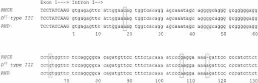 Fig. 3. 5′ portion of the Rhesus genes' intron 1. One hundred thirty nucleotides of intron 1 adjacent to exon 1 are shown for the DVI type III allele along with the commonRHCE and RHD genes. The RHCE and RHDgenes differ by three nucleotide substitutions and one insertion (boxed). The DVI type III allele is identical toRHD at these positions. As expected, DVI type I and DVI type II alleles are also identical toRHD (not shown). Nucleic acid sequence accession numbers wereZ97362 (RHCE) and Z97363 (RHD).
