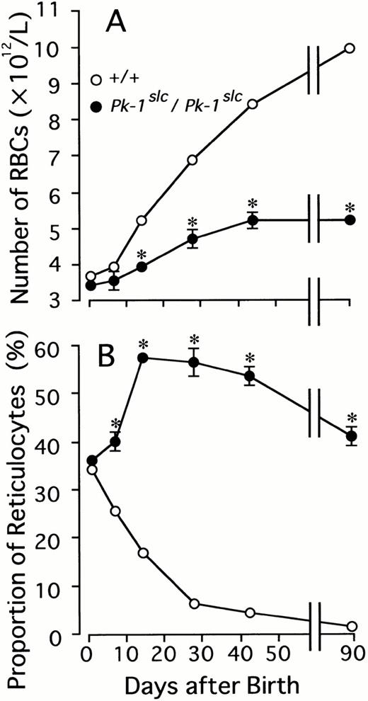 Fig. 1. Number of RBCs and proportion of reticulocytes in CBA-+/+ (○) and -Pk-1slc/Pk-1slc(•) mice on various days after birth. Each point represents the mean of ten mice. Bars are the standard error. In some points the standard error was too small to be shown by bars.