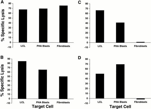 Fig. 3. Recognition of EBV-LCL, PHA blasts, and fibroblasts derived from single donors by four different CD8+ minor H antigen-specific CTL clones. EBV-LCL, PHA blasts, and fibroblasts derived from minor H antigen-positive individuals were used as targets in 51Cr release assays at E:T 20:1 for (A) HLA-A2–restricted clone PAM-13, (B) HLA-A2–restricted clone ATT-1, (C) HLA-A3–restricted clone DRN-7, and (D) HLA-B53–restricted clone DJG-24.