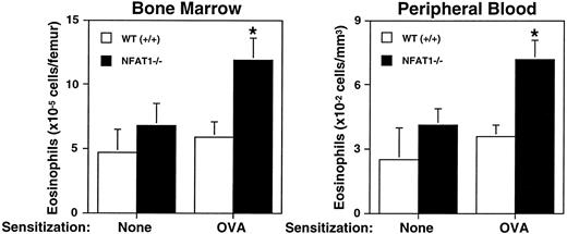 Fig. 2. Analysis of bone marrow response to OVA sensitization. Shown are the total number of eosinophils in bone marrow and peripheral blood of wild-type (+/+) and NFAT1−/− mice that were either not sensitized (none) or were sensitized with OVA. Data are expressed as mean ± SEM of values from 5 to 6 mice. (*) Indicates significantly greater response relative to wild-type mice (P < .05).
