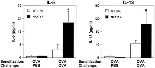 Fig. 4. Analysis of in vivo cytokine production during allergic pleurisy. Measurement of IL-5 and IL-13 production in pleural cavity of wild-type (+/+) and NFAT1−/− mice sensitized with OVA and challenged in the pleural cavity with PBS or OVA. Pleural washes were obtained 24 hours after OVA challenge and assessed for cytokine levels by ELISA. Data are expressed as mean ± SEM of values from 5 mice. (*) Indicates significantly greater values relative to wild-type mice (P < .05).