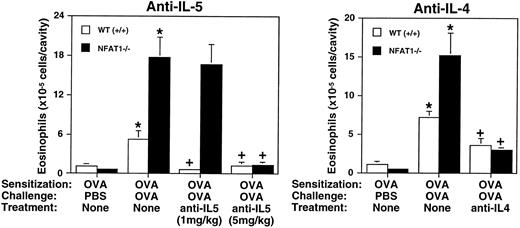 Fig. 5. Analysis of allergic eosinophil accumulation into the pleural cavity after treatment with anti–IL-5 and anti–IL-4 neutralizing MoAb. Total numbers of eosinophils in the pleural cavity of wild-type (+/+) and NFAT1−/− mice were assessed in animals sensitized with OVA and challenged in the pleural cavity with PBS or OVA. Mice were left untreated (none) or treated with anti–IL-5 or anti–IL-4 neutralizing MoAb as described in Materials and Methods. Different concentrations of anti-IL–5 (1 mg/kg and 5 mg/kg) were used for treatment as indicated. Data are expressed as mean ± SEM of values from 5 to 12 mice. (*) Indicates significantly greater values relative to the PBS-challenged controls (P < .05), and (+) indicates significantly smaller values than the groups challenged with OVA but not treated with antibody (P < .05).