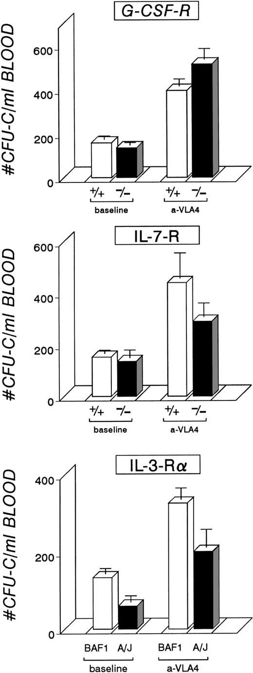 Fig. 1. Five control mice and five receptor null mutant mice per group were treated by three IV injections of anti-VLA4 (see Materials and Methods). The mobilization response, measured as CFU-C/mL blood, is shown. All mice responded to anti-VLA4 treatment with a significant difference from their baseline CFU-C/mL levels.