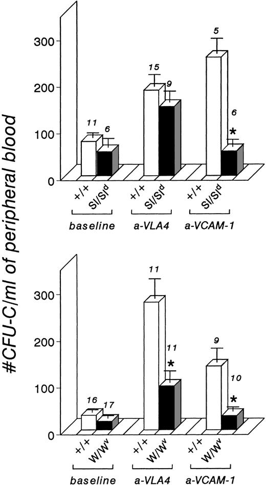 Fig. 2. CFU-C/mL blood from control +/+ littermate mice and from Sl/Sld and W/Wv mice before and after anti-VLA4 and anti–VCAM-1 treatment (see Materials and Methods for details). Sl/Sld mice respond to anti-VLA4 similarly to controls (P = .35), in contrast to W/Wv mice which showed a blunted response (P < .0016). Both types of mutant mice did not respond to anti–VCAM-1 treatment, in contrast to their +/+ littermates. *Indicates significant differences from control responses (P < .05) and numbers above each column indicate the number of mice treated.