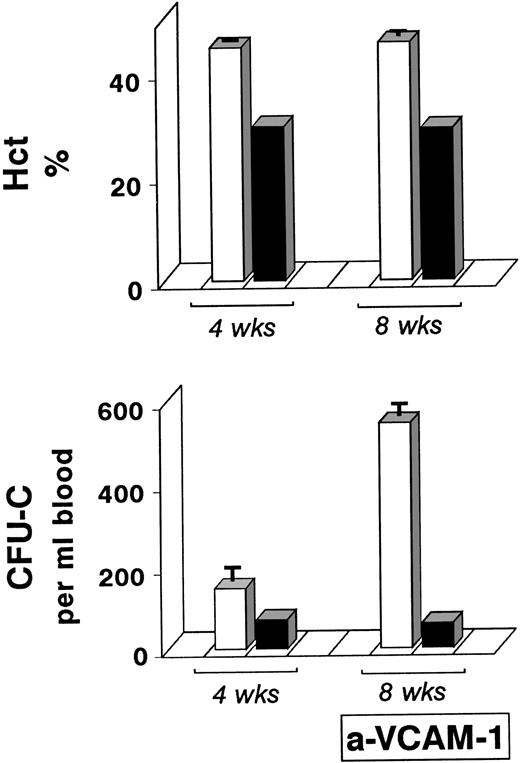 Fig. 3. Transplantation of W/Wv mice with +/+ bone marrow cells (□) or W/Wv (▪) bone marrow cells. Eight weeks posttransplant W/Wv mice administered +/+ donor cells had normal Hct levels and responded significantly to anti–VCAM-1, in contrast to W/Wv recipients of W/Wv donor cells.