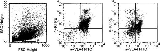 Fig. 4. Bone marrow mononuclear cells were tested for kit and VLA4 expression after three daily injections of anti-VLA4. Labeling of cells with 2° antibody only, or anti-VLA4 and 2° antibody, gave superimposable profiles (not shown) indicating that cells were saturated by anti-VLA4 in vivo. Scattergram on the left panel was identical when untreated or treated animals were tested and the insert depicts cells in blast window analyzed for both kit expression (using directly conjugated anti-kit) and VLA4 expression. Note that after anti-VLA4 treatment both kit and VLA4 expression are downmodulated (middle and right panel). Downmodulation of kit was similar in two other experiments comparing untreated and treated bone marrow cells.