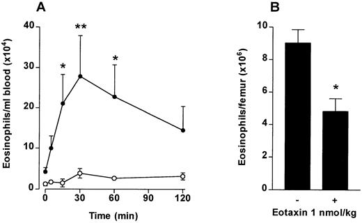 Fig. 2. The effect of IV eotaxin on blood and bone marrow eosinophil numbers. After injection of eotaxin, circulating eosinophil numbers were determined at multiple time points over a 2-hour period. Femoral marrow eosinophil numbers were determined after 2 hours. (A) Kinetics of blood eosinophilia induced by eotaxin (1 nmol/kg). Results show the number of eosinophils per milliliter of blood at each time point, mean ± SEM (n = 4 animals). Eotaxin stimulated a significant *(P < .05) or **(P < .01) blood eosinophilia after 15 minutes compared with the vehicle-injected group. (•), Eotaxin 1 nmol/kg; (○), Vehicle. (B) Femoral marrow eosinophil numbers. Results show the total number of morphologically mature eosinophils in femoral bone marrow in one femur 2 hours after injection of eotaxin (1 nmol/kg) or vehicle, mean ± SEM, (n = 4 animals). A significant difference between eotaxin- and vehicle-injected groups is shown by *(P < .05).