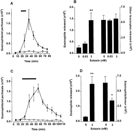 Fig. 3. Eosinophil release from bone marrow induced by eotaxin. The femoral bone marrow was perfused in situ with modified Krebs-Ringer bicarbonate buffer via the external iliac artery and 10-minute fractions were collected from the external iliac vein. (A) Kinetics of eosinophil release after a 10-minute infusion (indicated by ▩) of eotaxin (3 nmol/L) or vehicle (PBS/0.1% BSA). Results represent the number of eosinophils per milliliter of perfusate in each 10-minute fraction, mean ± SEM (n = five to six perfusions). (•), Eotaxin 3 nmol/L; (○), Vehicle. (B) Total eosinophil release and total release of other leukocytes induced by a 10-minute infusion of eotaxin (0.03 and 3 nmol/L) or vehicle. Results show the total number of eosinophils or other leukocytes released during the 80-minute perfusion period, mean ± SEM (n = five to six perfusions). A significant difference between eotaxin and vehicle injected group is indicated by **(P < .01). (C) Kinetics of eosinophil release after a 30-minute infusion (indicated by ▩) of eotaxin (3 nmol/L) or vehicle. Results represent the number of eosinophils per milliliter of perfusate in each 10-minute fraction, mean ± SEM (n = four perfusions). (•) Eotaxin, 3 nmol/L; (○), Vehicle. (D) Eosinophil mobilization after a 30-minute infusion of eotaxin (3 nmol/L) or vehicle. Results (from experiment shown in C) show the total number of eosinophils released during the 110-minute perfusion period (left y-axis) and the number of eosinophils present in the femoral bone marrow after the 110-minute perfusion period (right y-axis), mean ± SEM (n = four perfusions). A significant difference between eotaxin and vehicle infused groups is indicated by *(P < .05) or **(P < .01).