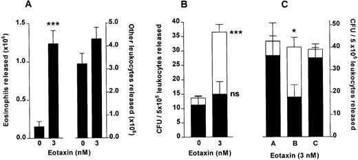Fig. 4. Eotaxin stimulates release of colony-forming units from femoral bone marrow. (A) Total eosinophil and total other leukocyte release from the perfused hind limb stimulated by a 10-minute infusion of eotaxin (3 nmol/L) or vehicle (PBS/0.1% BSA), counted in an improved Neubauer hemacytometer. Results show the total number of eosinophils and other leukocytes released during the 60-minute perfusion period, mean ± SEM (n = seven to eight perfusions). (B) GM-CFU (▪) and Eo-CFU (□) release after a 10-minute infusion of eotaxin (3 nmol/L) or vehicle. The colony-forming assay was performed in Methocult GF H4534 methylcellulose-based medium supplemented with IL-5 (3 nmol/L). Results are expressed as the number of GM-CFU or Eo-CFU present per 5 × 105 total leukocytes released during the 60-minute perfusion period, mean ± SEM of seven to eight perfusions, CFU assay performed in duplicate. A significant difference between Eo-CFU released in eotaxin and in vehicle infused groups is indicated by ***(P < .001). (C) Colony-forming unit assay of leukocytes released by eotaxin (3 nmol/L) performed in Methocult GF H4534 medium supplemented with either PBS (A), IL-5 (3 nmol/L) (B), or eotaxin (3 nmol/L) (C). Results are expressed as the number of GM-CFU (▪) or Eo-CFU (□) present per 5 × 105 total leukocytes released during the 60-minute perfusion period, mean ± SEM of three perfusions, CFU assay performed in duplicate. A significant difference between the number of Eo-CFU formed in the presence of IL-5 compared with either PBS or eotaxin is indicated by *(P < .05).