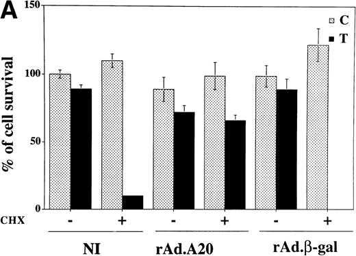 Fig. 5. (A) Overexpression of A20 rescues CHX-sensitized EC from TNF-mediated apoptosis. Noninfected, rAd.A20-, and rAd.β-gal–infected confluent monolayers of PAEC were treated 48 hours following infection with 100 U/mL of TNF in the presence or absence of 2 μg/mL of CHX. Seven hours following treatment, cell viability was assessed using a vital dye (crystal violet) uptake assay as described. Results are expressed as percentage of survival compared with NI, nontreated (control) PAEC whose values were considered to represent 100% of cell survival. Results shown are the mean ± SEM of triplicate wells and are representative of three independent experiments. A20 expression significantly protects PAEC from CHX/TNF-induced cytotoxicity. No viable cells were seen in NI or rAdβ-gal–infected PAEC treated with CHX/TNF, as opposed to more than 60% to 70% viability in rAd.A20-infected PAEC treated or not with CHX (2 μg/mL) 30 minutes before the addition of TNF (100 U/mL). (B) Overexpression of A20 prevents apoptotic fragmentation of cellular DNA in CHX- and TNF-treated PAEC. Noninfected PAEC or PAEC infected with either rAd.β-gal or rAd.A20 were treated with CHX (2 μg/mL) or TNF (100 U/mL) either alone or in combination for 7 to 8 hours. Cells were then obtained and assessed for apoptosis-induced DNA fragmentation as described in Materials and Methods. The region below the G1/G0 peak, designated A0, represents cells undergoing apoptosis with fractional DNA content and is presented as a percentage of the total events collected. Results obtained correlated with the crystal violet uptake data, validating its use for further experiments.