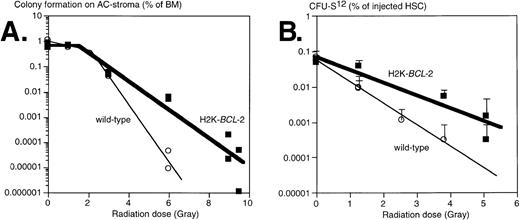 Fig. 5. Survival of progenitors of H2K-BCL-2 transgenic and wild-type mice after irradiation. (A) Plating of bone marrow from irradiated mice on AC-6 or AC11 stromal cells. Bone marrow was isolated immediately after irradiation, which was given in a single dose, and plated on preirradiated stroma cells. Plating efficiency of clonogenic cells was determined at day 8 by counting the colonies. Combined data from three experiments, each datapoint represents one irradiated mouse. (B) Radioprotection of CFU-S day 12. HSCs were sorted from bone marrow from H2K-BCL-2 transgenic and wild-type mice, aliquoted, exposed to a single dose of irradiation, and injected into lethally irradiated (9.5 Gy, split dose) C57BI/Ka mice, five mice per group. Spleen colonies were counted on day 12. Error bars indicate standard deviations for each group of five spleens. Combined data from three separate experiments, containing a total of seven datapoints for the transgenic, and six for the wild-type mice. Some of these datapoints overlap and cannot be distinguished in the figure.
