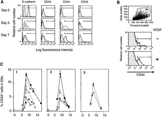 Fig. 1. VEGF enhances transient appearance of CD34+cells during differentiation of ES cells in liquid culture. (A) Surface marker analysis of differentiating ES cells. Undifferentiated A3-1 ES cells (day 0), as well as cells from EBs cultured for 5 days and 7 days in the presence of 100 ng/mL SCF, 10 ng/mL IL-3, and 1 U/ml EPO were stained with anti-E-cadherin, CD34, CD44, and CD45 monoclonal antibodies. Results of the corresponding isotype control are shown in gray. Positive cell population (region indicated with ⊢⊣) on day 0, day 5, and day 7 for E-cadherin are 98.4%, 26.4%, and 0.3%, for CD34 are 0.2%, 1.4%, and 6.7%, for CD44 are 4.4%, 58.4%, and 68.7%, and for CD45 are 0.4%, 0.1%, and 1.0%, respectively. (B) Effect of VEGF on the CD34+ cell generation. The day 8 EBs derived from A3-1 ES cells cultured in the absence of cytokine (−), and in the presence of 20 ng/mL VEGF (+) were harvested and analyzed for CD34 expression. Staining results of the gate R1 (top dot plot) are shown in histograms. Background staining is indicated in gray. Positive cell population (⊢⊣) is 3.9% (−) and 8.5% (+). (C) Kinetics of CD34+ cell generation in EBs cultured in various growth factors. A3-1 ES cells (1) and J7 ES (2, 3) cells were induced to differentiate in liquid culture in the absence of cytokine (○), and in the presence of 100 ng/mL SCF (▵), 20 ng/mL VEGF (□), 100 ng/mL SCF, and 1 ng/mL TGF-β1 (•), 100 ng/mL SCF, 10 ng/mL IL-3, and 1 U/mL EPO (┌), and 100 ng/mL SCF and 20 ng/mL VEGF (▪). From day 6 to day 18, EBs were harvested and analyzed for CD34 expression. For A3-1, only day 6 and day 8 data were average values of duplicated samples, and for J7, all but “no cytokine” and “SCF + TGF-β1” were average values of duplicated samples. The vertical bar indicates standard deviation.