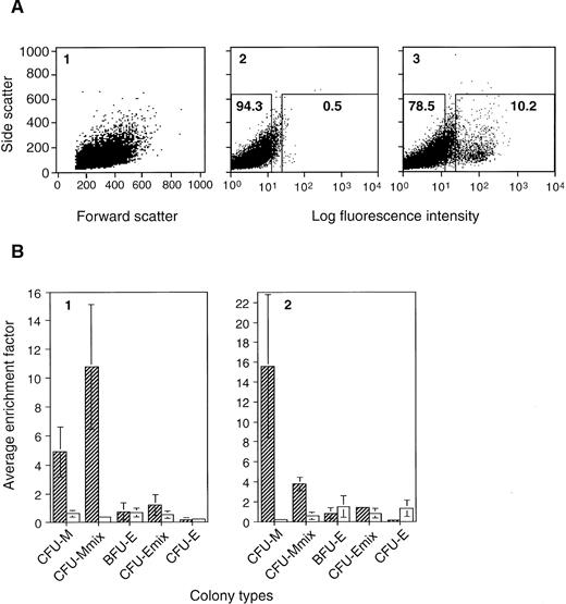Fig. 2. Types of colony-forming cells enriched in the CD34+ EB cell fraction. A3-1 ES cells were induced to differentiate in methylcellulose culture in the presence of 100 ng/mL SCF, and 20 ng/mL VEGF (A, B2), or 100 ng/mL SCF, 10 ng/mL IL-3, and 1 U/mL EPO (B1). EBs were obtained on day 7, stained with RAM34, and subjected to cell isolation by FACS. (A) One of the staining results of SCF + VEGF EB cells is shown: (1) the scatter pattern of the RAM34 stained sample, (2) staining pattern of isotype control, and (3) that of RAM34, in dot plots. Regions for sorting CD34+ (right) and CD34− (left) cell populations are indicated in boxes (2 and 3). Number in each box indicates percentage of total EB cells. Similar scatter pattern and staining pattern were obtained from EBs developed with SCF + IL-3 + EPO. (B) Erythro-myeloid CFC in the CD34+ and CD34− cell populations. Average numbers of CFU-M, CFU-Mmix, BFU-E, CFU-Emix, and CFU-E in 105 presorted EB cells, 105 sorted CD34+ EB cells, and 105 sorted CD34− EB cells were determined. The average colony numbers from CD34+ cells and CD34− cells were divided by corresponding numbers from presorted EBs to obtain enrichment factors for individual CFCs. Such enrichment factors obtained from three (SCF + VEGF) to four (SCF + IL-3 + EPO) independent experiments were then averaged to obtain average enrichment factor. Hatched bar indicates results for CD34+ EB cells, and open bar is for CD34− EB cells. Factor 1 means no enrichment. Vertical line indicates standard deviation.