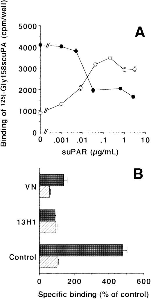 Fig. 2. Effect of suPAR on the binding of125I-Gly158scuPA to vascular cells. (A) The specific binding of 125I-Gly158scuPA to HVSMC was determined in the absence and presence of increasing suPAR concentrations as indicated. Binding experiments were performed with untreated cells (•) or with piPLC-treated cells (○). Data represent mean ± SEM (cpm/well) of triplicate wells from a typical experiment. Similar results were obtained in three separate experiments on HVSMC or HUVEC, respectively. (B) The effects of MoAb-13H1 against VN (25 μg/mL) and multimeric VN (20 μg/mL) on the binding of 125I-Gly158scuPA to piPLC-treated HVSMC were tested in the absence (hatched bars) or presence (filled bars) of suPAR (1 μg/mL). Data are expressed as percentage of control (mean ± SEM) of three different experiments, where 100% (control) is represented by the specific binding of125I-Gly158scuPA in the absence of suPAR. Similar results were obtained in experiments with HUVEC.